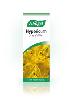 Hypericum 50ml